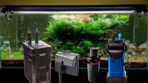 The 10 Best 55 Gallon Fish Tank Filters (Reviews & Buying Guide 2022)