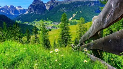 🔥 [90+] Free Mountain Spring Wallpapers | WallpaperSafari