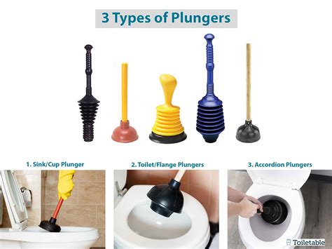 Toilet Plunging Guide of 2024 - Toiletable