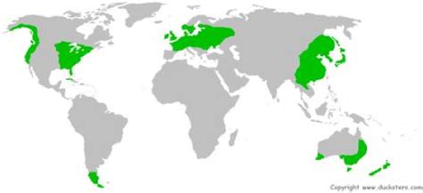 Temperate forest - Biome Map