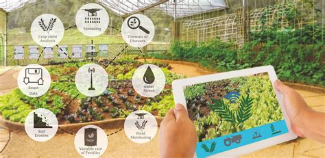 Blockchain Technology In Agriculture