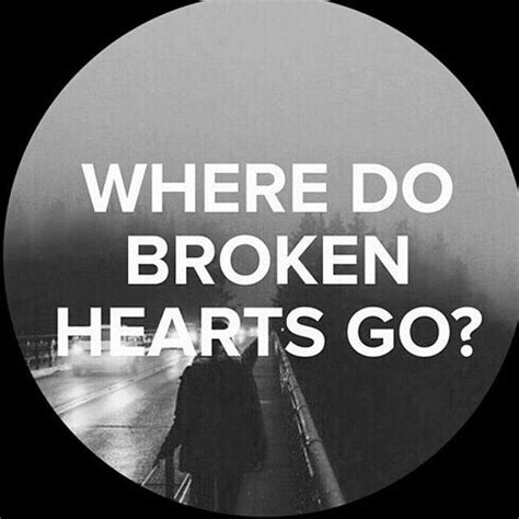 Where Do Broken Hearts Go? Pictures, Photos, and Images for Facebook, Tumblr, Pinterest, and Twitter