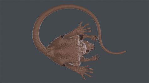 Rat sculpture 3D model 3D printable | CGTrader