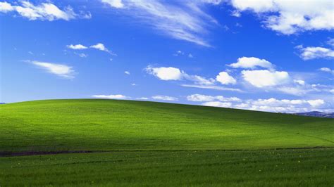 2560x1440 Windows Xp Bliss 4k 1440P Resolution HD 4k Wallpapers, Images ...