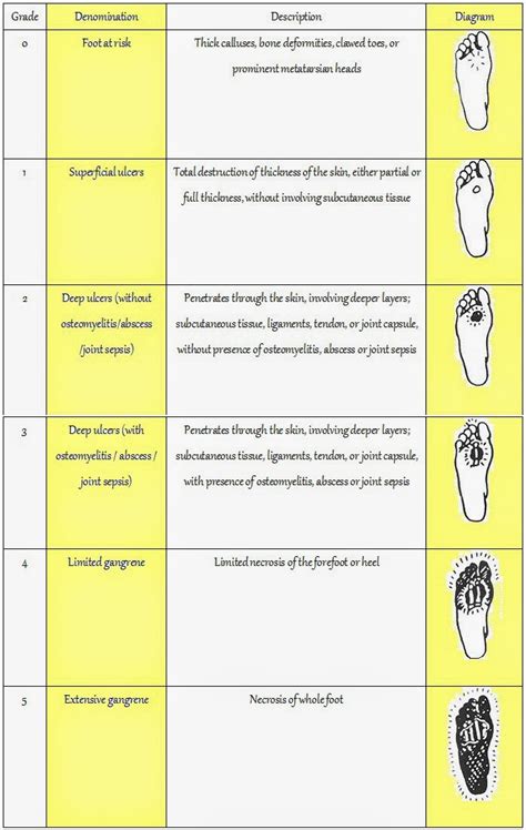 hEiDiMatEs - MeDICinE: Diabetic foot ulcer (DFU) - Classification / Grading / Staging