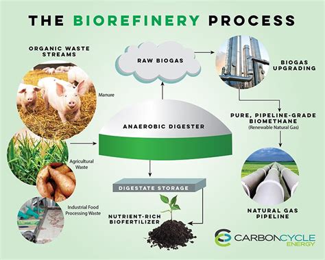 Pig poo to create energy through $100 million biogas construction ...