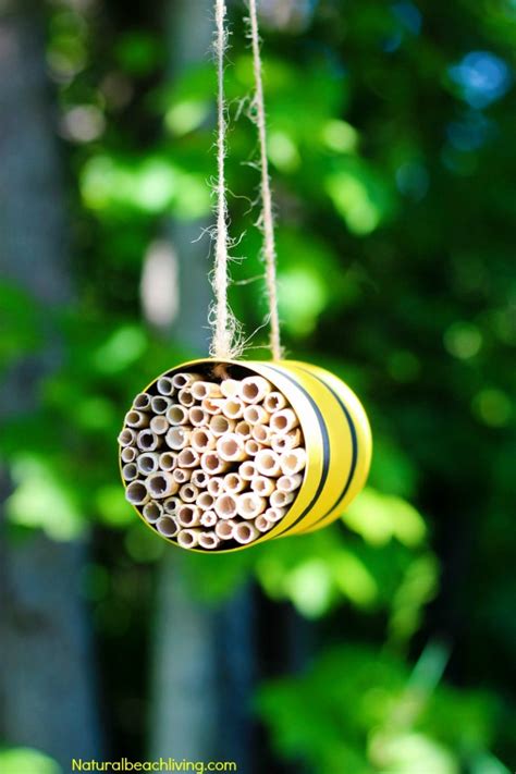 How to Make a Mason Bee Habitat - Perfect Life Cycle of a Bee Activities - Natural Beach Living