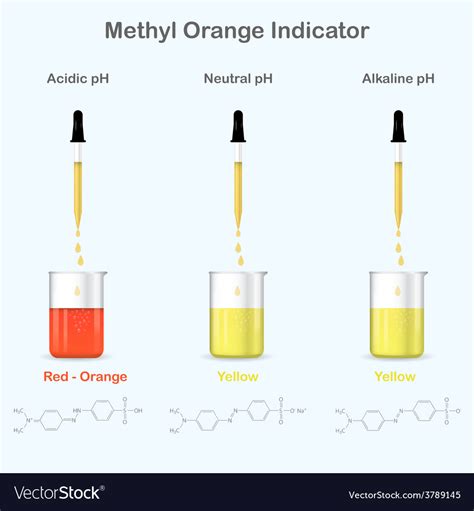 Methyl orange colors in media with different ph Vector Image