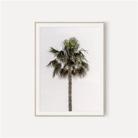 Print Set of 3, Tropical Palm Leaf, Set of 3 Wall Art, Printable Art, Digital Prints, Printable ...