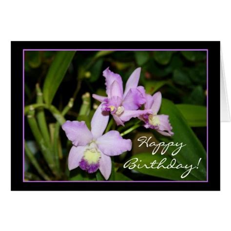 Happy Birthday Orchids greeting card | Zazzle