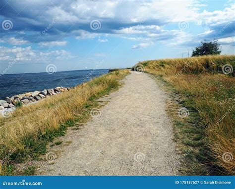 Beach Path in Helsingor stock image. Image of tour, docked - 175187627