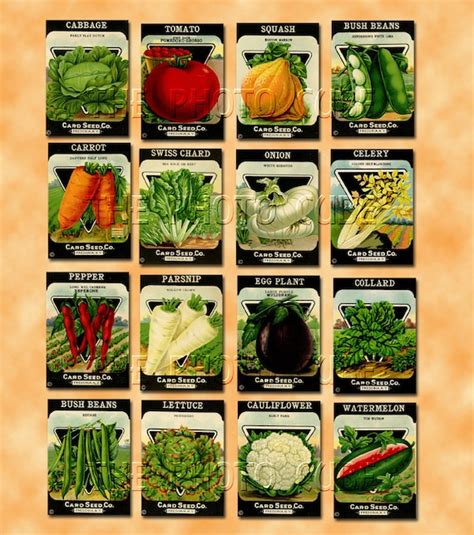 16 Vegetable Seed Packets Lovely Vintage Colorful Images