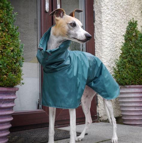 Gallery - The Whippet Coats