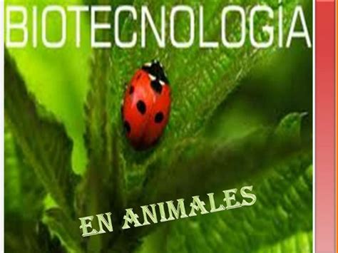 biotecnologia en animales