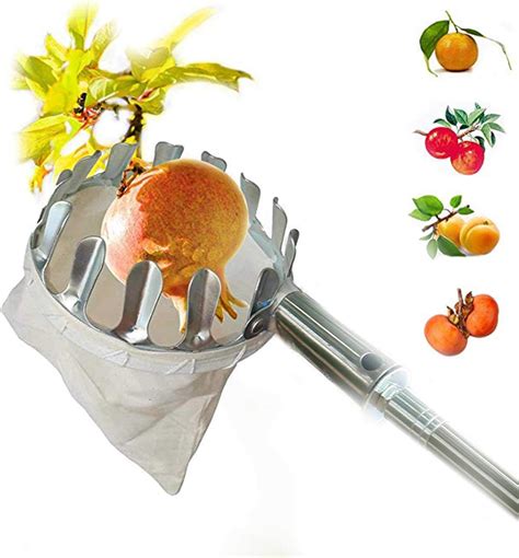 Fruit Picker Tool, Includ Telescopic Fruit Picker Pole and Head Basket, 1.5m Professional Fruit ...