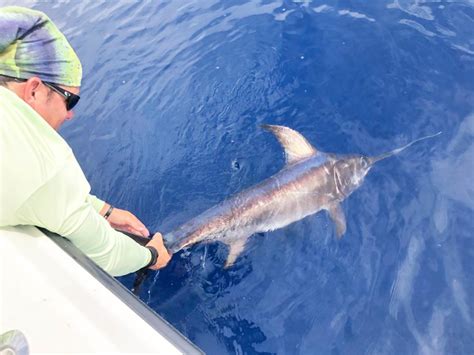 Bimini Fishing – All You Need to Know | Gary Spivack