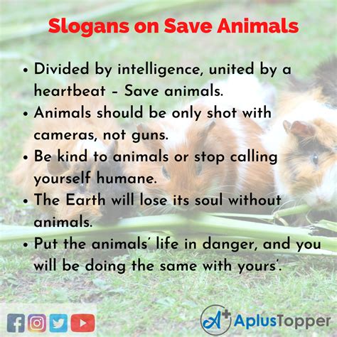 Slogans on Save Animals | Unique and Catchy Slogans on Save Animals in English - CBSE Library