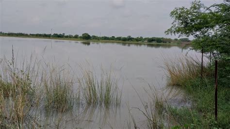 UP Rain: डूबे खेत-खलिहान, घरों में घुसा पानी...यूपी में बारिश से ...