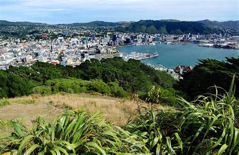 15 Top-Rated Tourist Attractions in Wellington | PlanetWare | Tourist, Tourist attraction ...