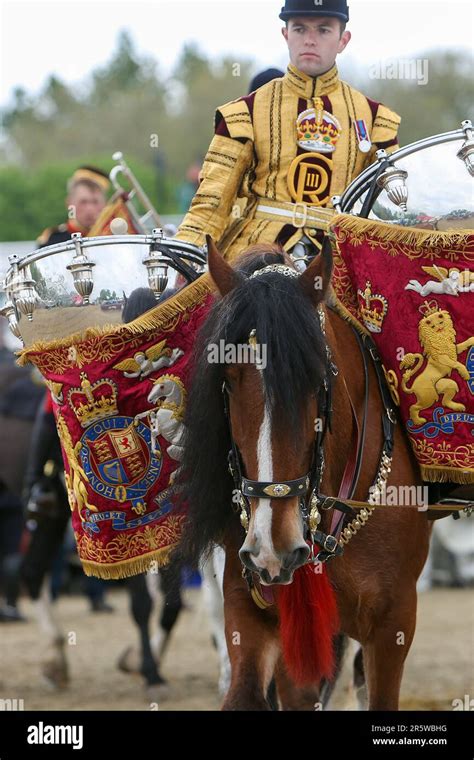 Drum Shire Horse Apollo at the Royal Windsor Horse Show 2023, performing with the Household ...