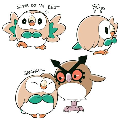 Rowlet and Hoothoot Pokemon 20, Pokemon Ships, Pokemon Memes, Pokemon ...