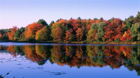 Walden Pond | , USA | Attractions - Lonely Planet