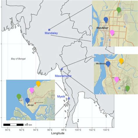 Map of Myanmar depicting the sampling localities (Mandalay, Mawlamyine,... | Download Scientific ...