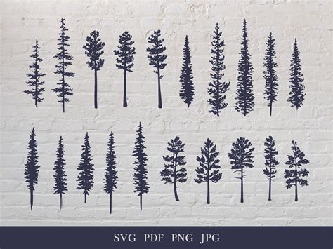 Pine Tree Evergreen Drawing Slihouette Bundle Black and White Sketch ...