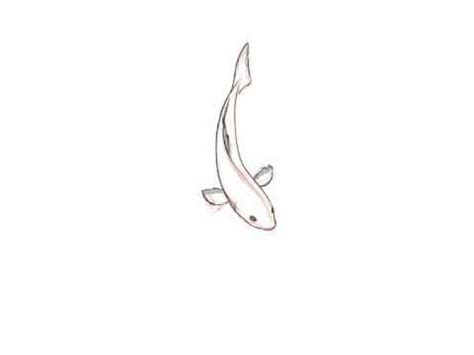 Fish Animation Images