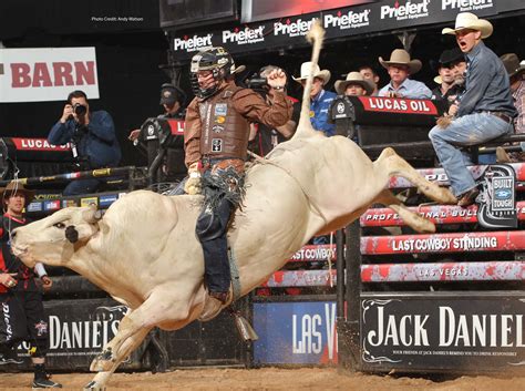 The Dangers and Training for Bull Riders | ATLX