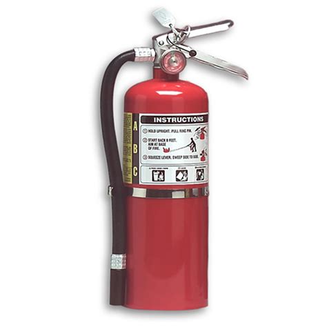 Dry Chemical 10lb Fire Extinguisher - Multi Purpose - Buckeye