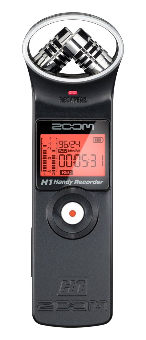 H1n zoom recorder - russianroden