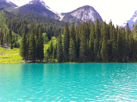 A Day Trip to Yoho National Park: Things to See and Do! - It's Not About the Miles