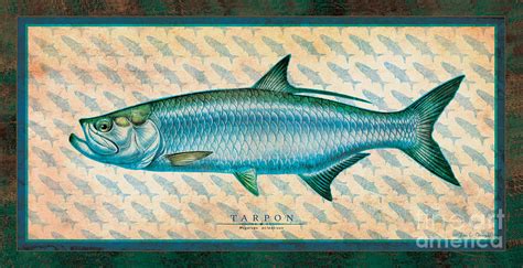 Tarpon Painting by JQ Licensing - Fine Art America