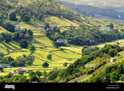 Swaledale, The Yorkshire Dales, England, August 2015 Stock Photo - Alamy