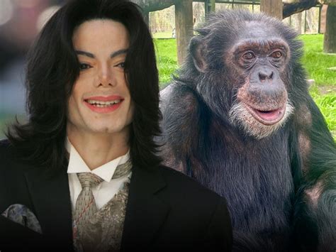 Michael Jackson Would Be Happy With Bubbles the Chimp's Life, Says ...