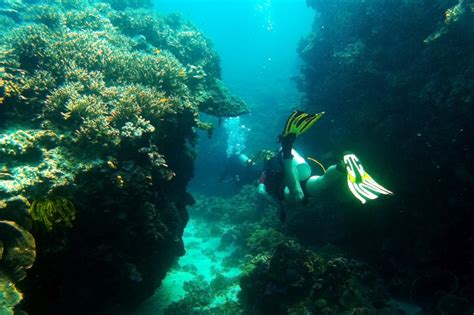 Dive Guide Siquijor: 3 Magical Dive Sites Not To Be Missed