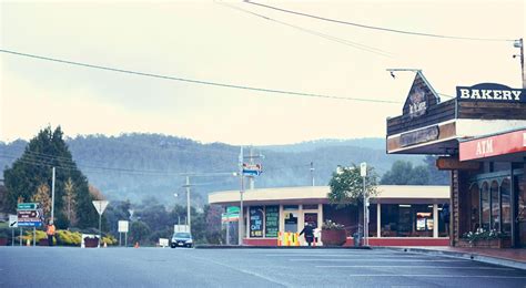 Rosehaven makes me want to move to Tasmania - Jordan Gillman