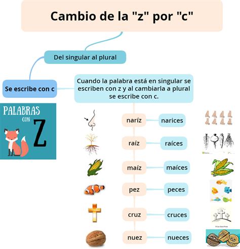 Cambio de la letra z por la letra c, del singular al plural. - Página ...