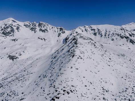 Premium Photo | Aerial view of winter forest covered in snow drone photography mountains ...