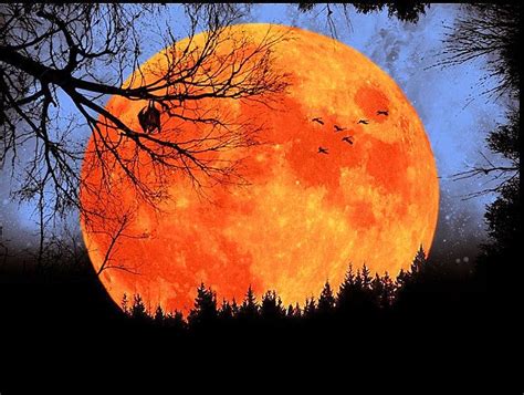 Harvest Moon | ♥ The Colors of Autumn ♥ | Pinterest