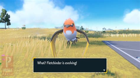 Pokemon Fletchinder Evolution