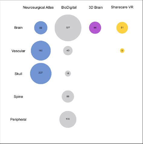 Labeled neuroanatomical structures included in each program ...