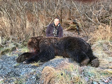 Kodiak Island Brown Bear - Quality Hunts - #1 Hunt Provider