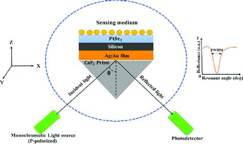 Sketch diagram of proposed SPR biosensors | Download Scientific Diagram