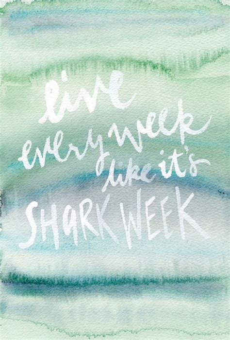 As Seen On TV: Shark Week Reading Books Quotes, Book Quotes, Shark Art ...