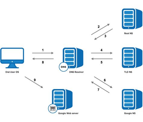 DNS Lookup: How a Domain Name is Translated to an IP Address