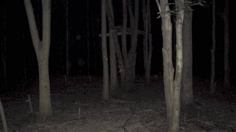 Scary Video! Creature Spotted In the woods - YouTube