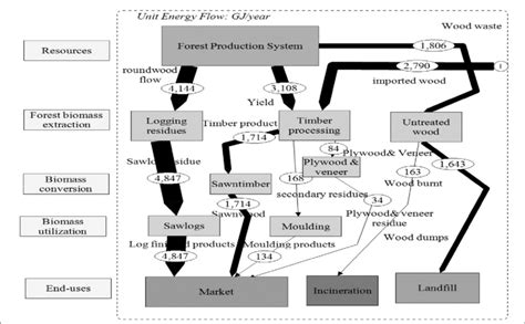 MFA Schematic Diagram for Biomass Energy Flow in Forest System in... | Download Scientific Diagram