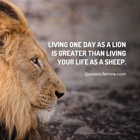 150+ Lion Quotes And Sayings With Images For Motivation